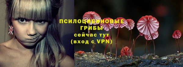 амф Осинники