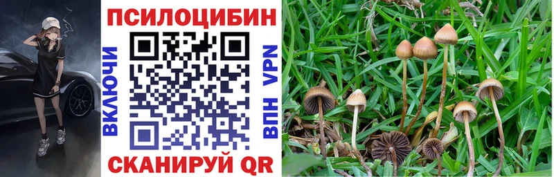 Галлюциногенные грибы прущие грибы  наркотики  Сунжа 